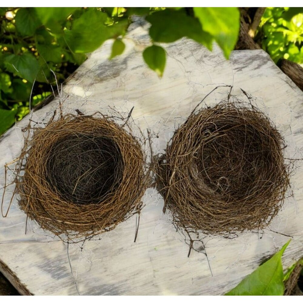 2 Genuine Bird Nest Natural Twigs Fur Lined Small Rustic Abandoned Sparrow Wren